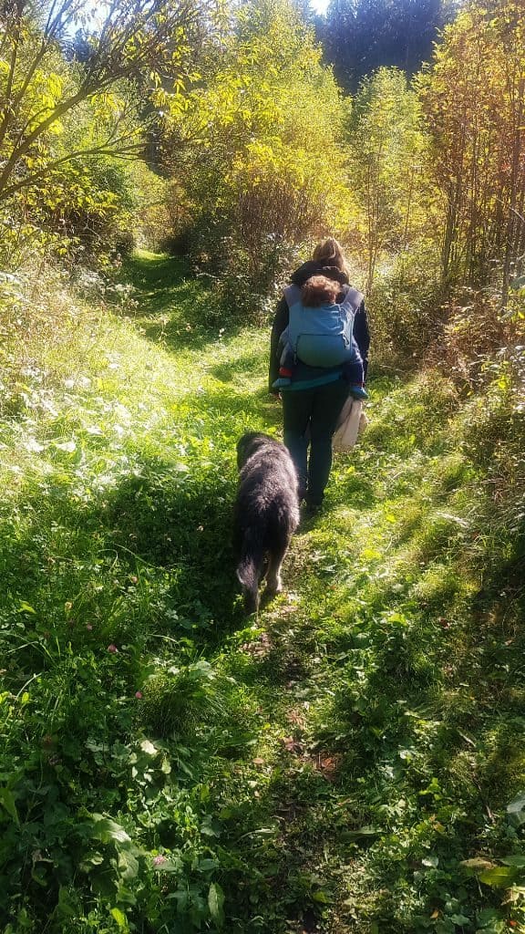 Nature path with a woman who carries a child on her back and a black dog